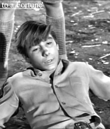 Johnny Crawford 57ccb439afc03.jpg
