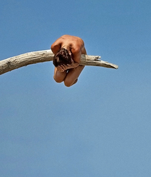 The Ties That Bind 57e9c0de5d260.jpg