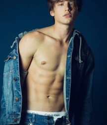 Twink dreams  5a8aef8327b79.jpeg