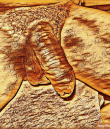 me 5da7124ec37d4.png