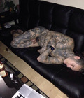 Boys J.O.P.J. 238 570517d531758.jpg