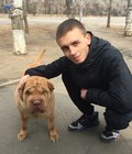 chav lads 8 57e16456ec747.jpg