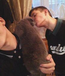 my boys 140 59350613260a7.jpg
