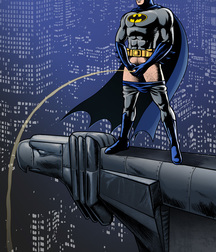Batman 2 5b196fce7d1cb.jpg