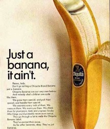 Food 1 5b1971855c4e8.jpg