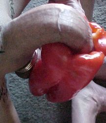 Food 2 5b1972364abab.jpg