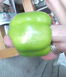Food 2 5b197244b00d2.jpg