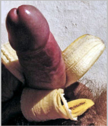 Food 2 5b197267a26b7.jpg