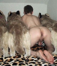 Puppies 1 5b1a9cf2e9b5d.jpg
