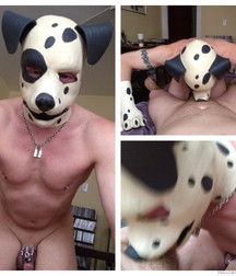 Puppies 1 5b1a9cf99bf07.jpg