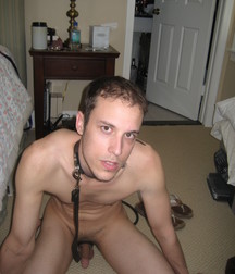 Puppies 1 5b1a9d06c17ca.jpg