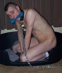 Puppies 1 5b1a9d0a46a1c.jpg