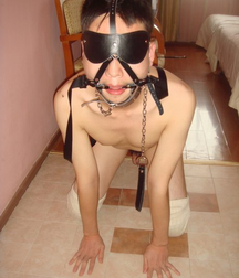 Puppies 1 5b1a9d217f179.png