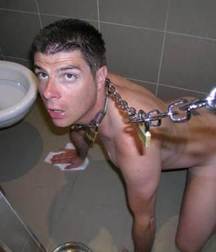Puppies 2 5b1a9dbe51d26.jpg