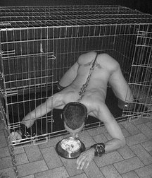 Puppies 2 5b1a9dd93a3c6.jpg
