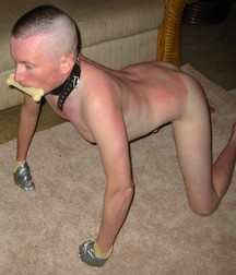 Puppies 2 5b1a9ddd81f45.jpg