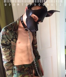 Puppies 2 5b1a9df71bda9.jpg
