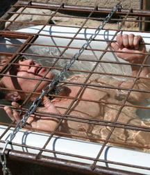 Caged 1 5b1aa53690e64.jpg