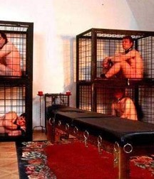 Caged 1 5b1aa53cbb9b5.jpg