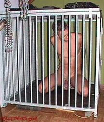 Caged 1 5b1aa53ee6726.jpeg