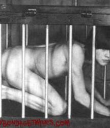 Caged 1 5b1aa543a0d02.jpeg