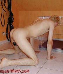 Caged 1 5b1aa54b14d31.jpeg