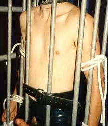 Caged 1 5b1aa55166d22.jpg
