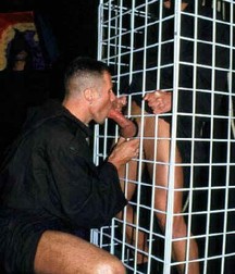 Caged 1 5b1aa557012d2.jpg