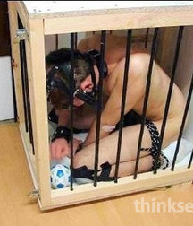 Caged 1 5b1aa566c4cd3.jpg