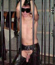 Caged 1 5b1aa56a6be62.jpg