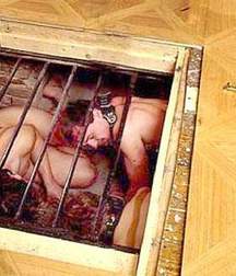 Caged 1 5b1aa56fb448d.jpg