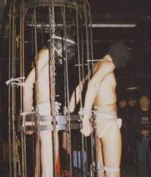 Caged 1 5b1aa57089735.jpg