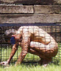 Caged 1 5b1aa57606a19.jpg