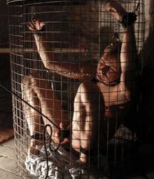 Caged 1 5b1aa59139506.jpg