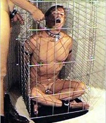 Caged 2 5b1aa60538591.jpg