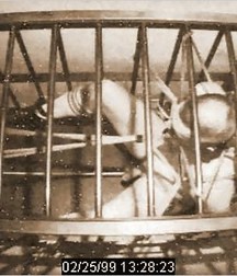 Caged 2 5b1aa608b7d7e.jpg