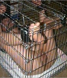 Caged 2 5b1aa609d598f.jpg