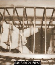 Caged 2 5b1aa60c6e1e9.jpg