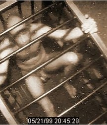 Caged 2 5b1aa60d2c5d9.jpg