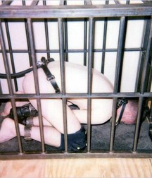 Caged 2 5b1aa617d743b.jpg