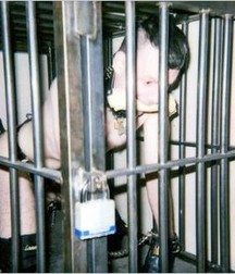 Caged 2 5b1aa6193c663.jpg