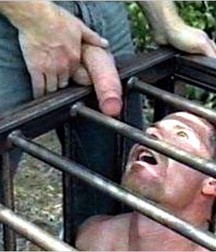 Caged 2 5b1aa61b78be9.jpg
