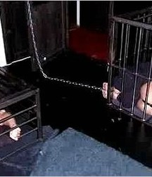 Caged 2 5b1aa61d90b63.jpg