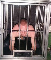 Caged 2 5b1aa61ed30f5.jpg
