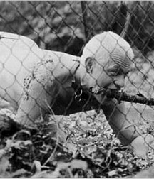 Caged 2 5b1aa62022258.jpg