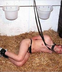 Caged 2 5b1aa6216365c.jpg