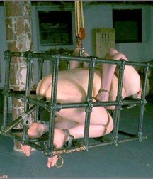 Caged 2 5b1aa623e0fa9.jpg