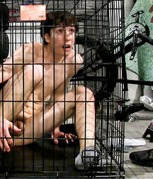 Caged 2 5b1aa62c0564a.jpg