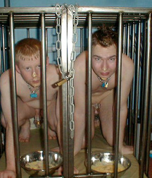 Caged 2 5b1aa6323c8cd.jpg