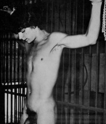 Caged 2 5b1aa633a3b1e.jpg